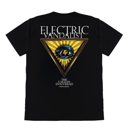 5d94adcd-4bed-4f44-81a4-04d38d4cfd4f Electric Vandalist - The lunatic In my Head